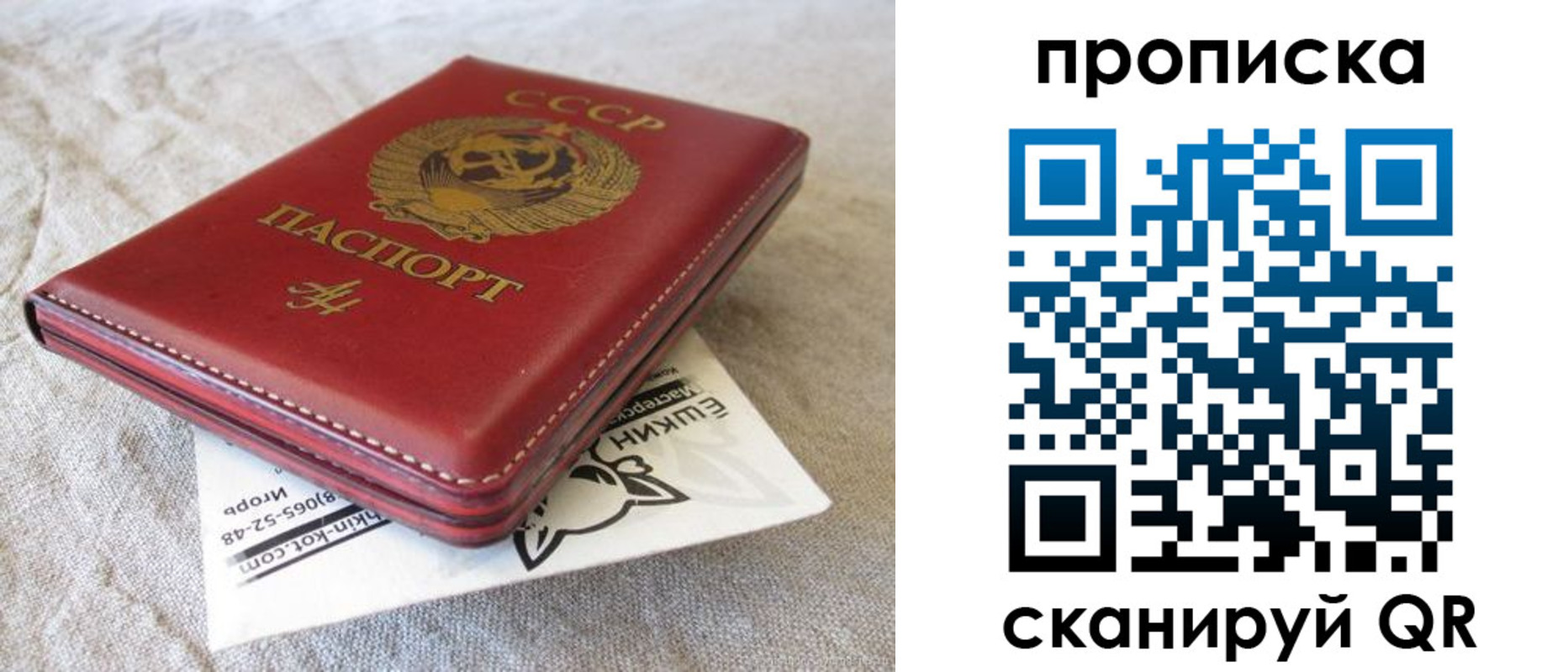 прописка для школы в Яранске
